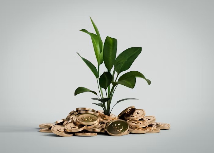 Budgeting Is a Mindset: The First Step to Financial&nbsp;Freedom